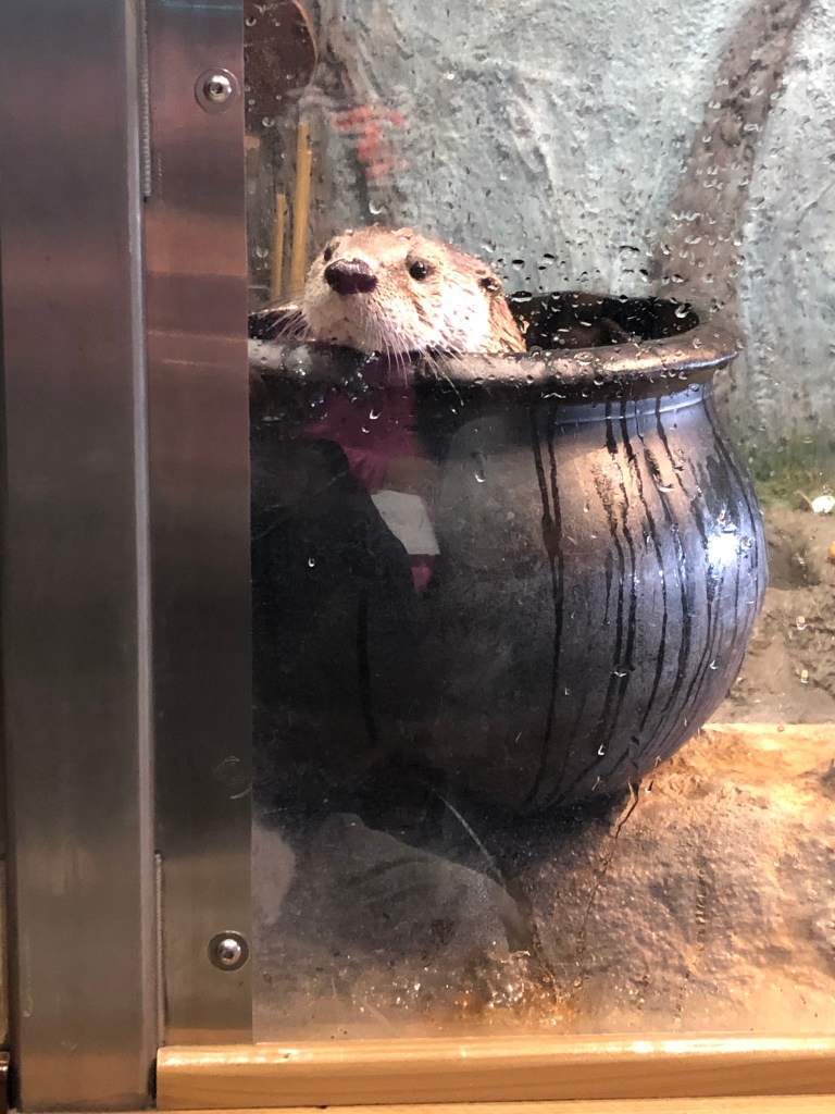 This image has an empty alt attribute; its file name is 0wd6osmasyiu4fse8aogqg.jpg